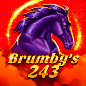 Brumby S 243 300x300